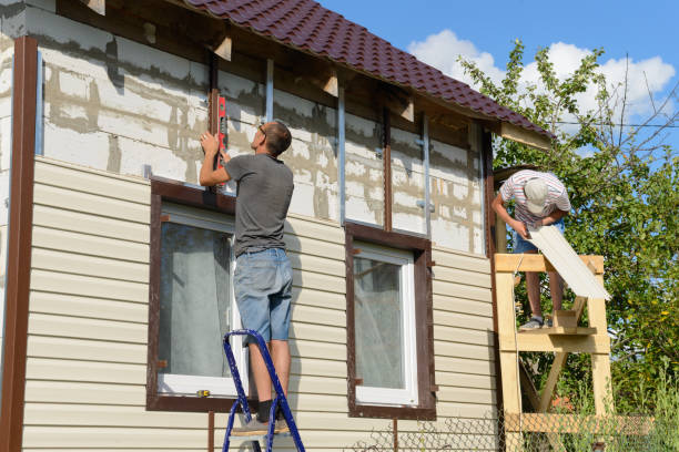 Best Custom Trim and Detailing for Siding  in Monongah, WV