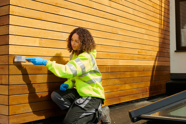 Best Insulated Siding Installation  in Monongah, WV